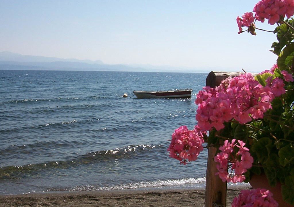 Photo of Others in Amarinthos
