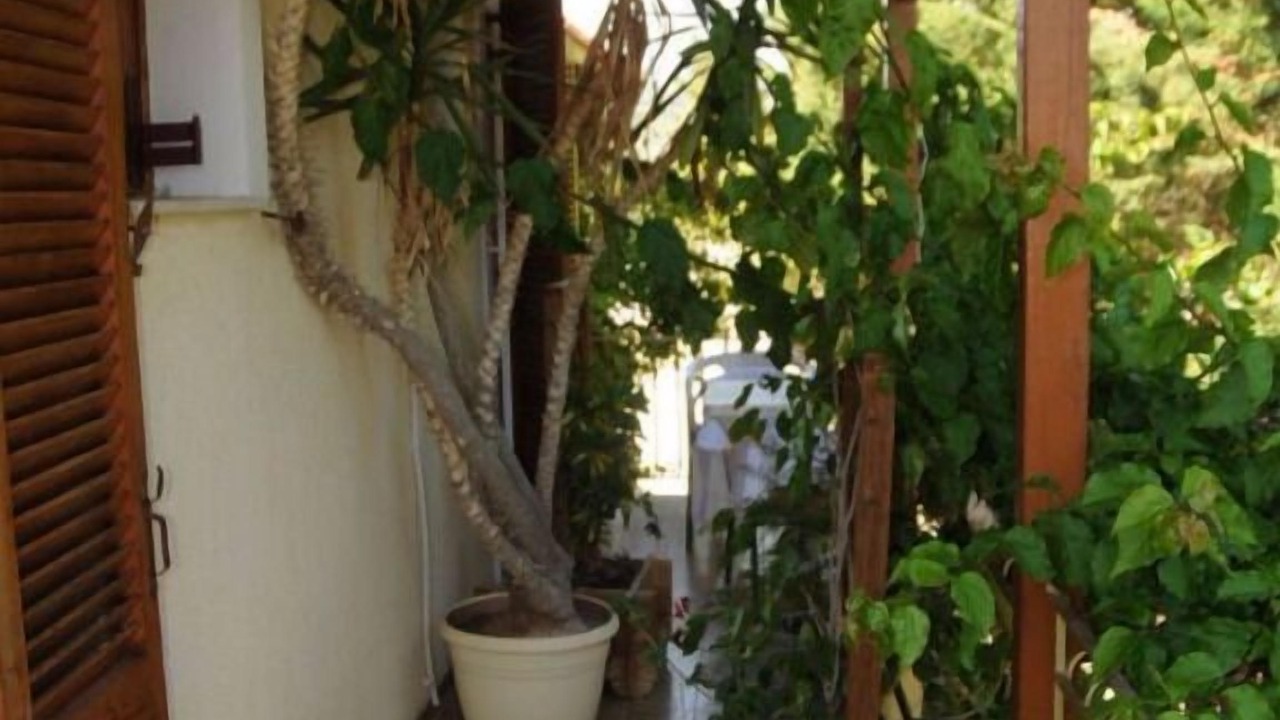 Photo of Others in Svoronata