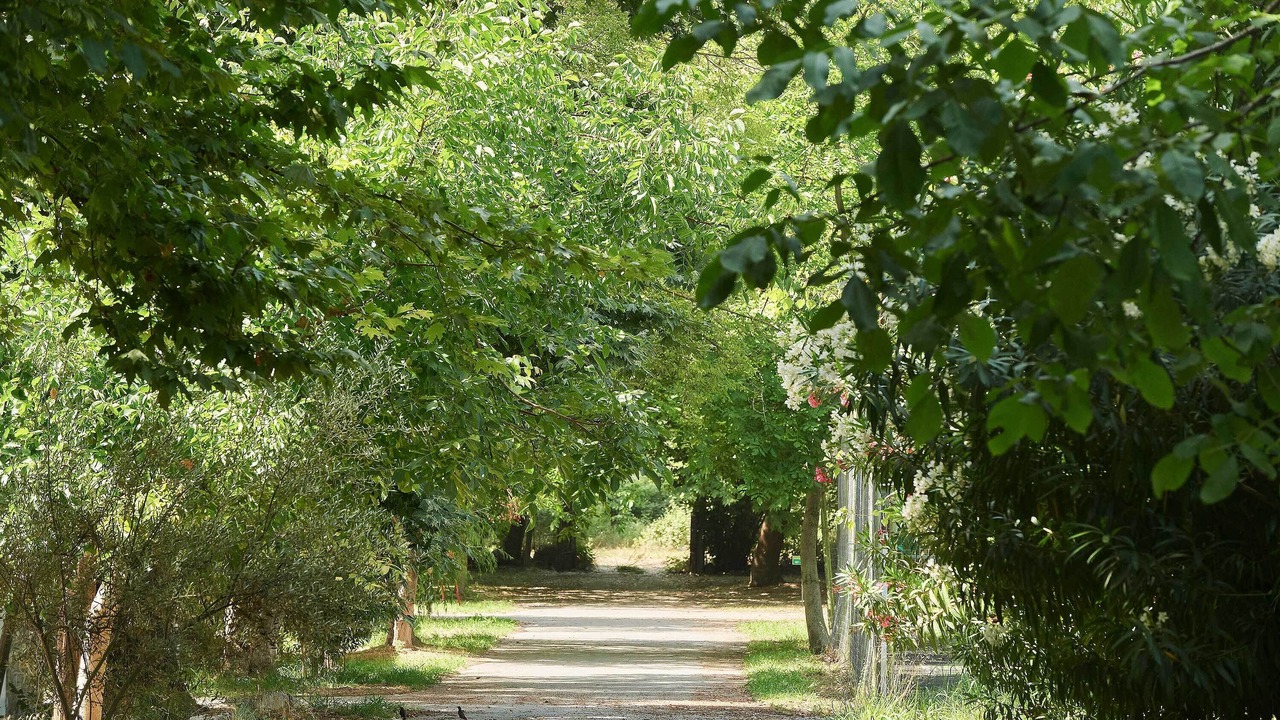 Photo of Others in Litochoro