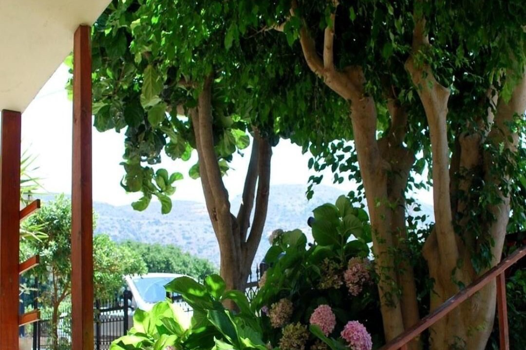 Photo of Outdoor in Stalida