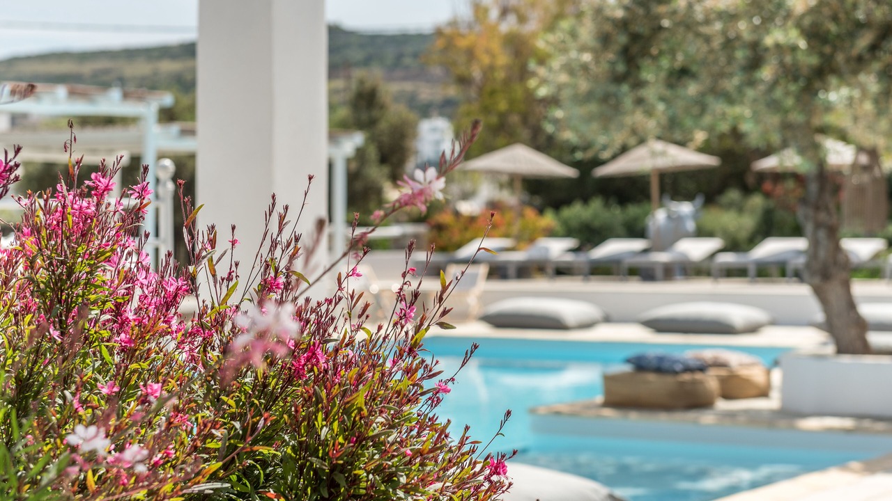 Photo of Outdoor in Platis Gialos
