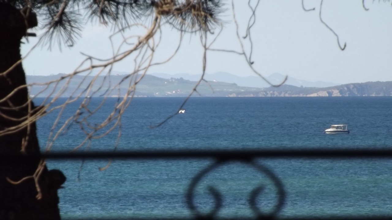 Photo of Outdoor in Vourvourou