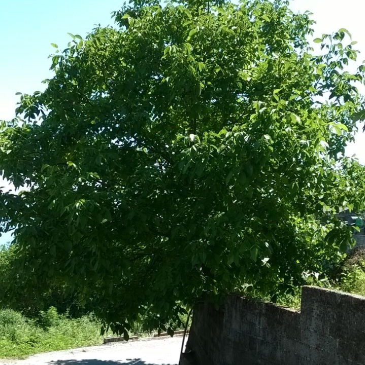 Photo of Outdoor in Karitsa