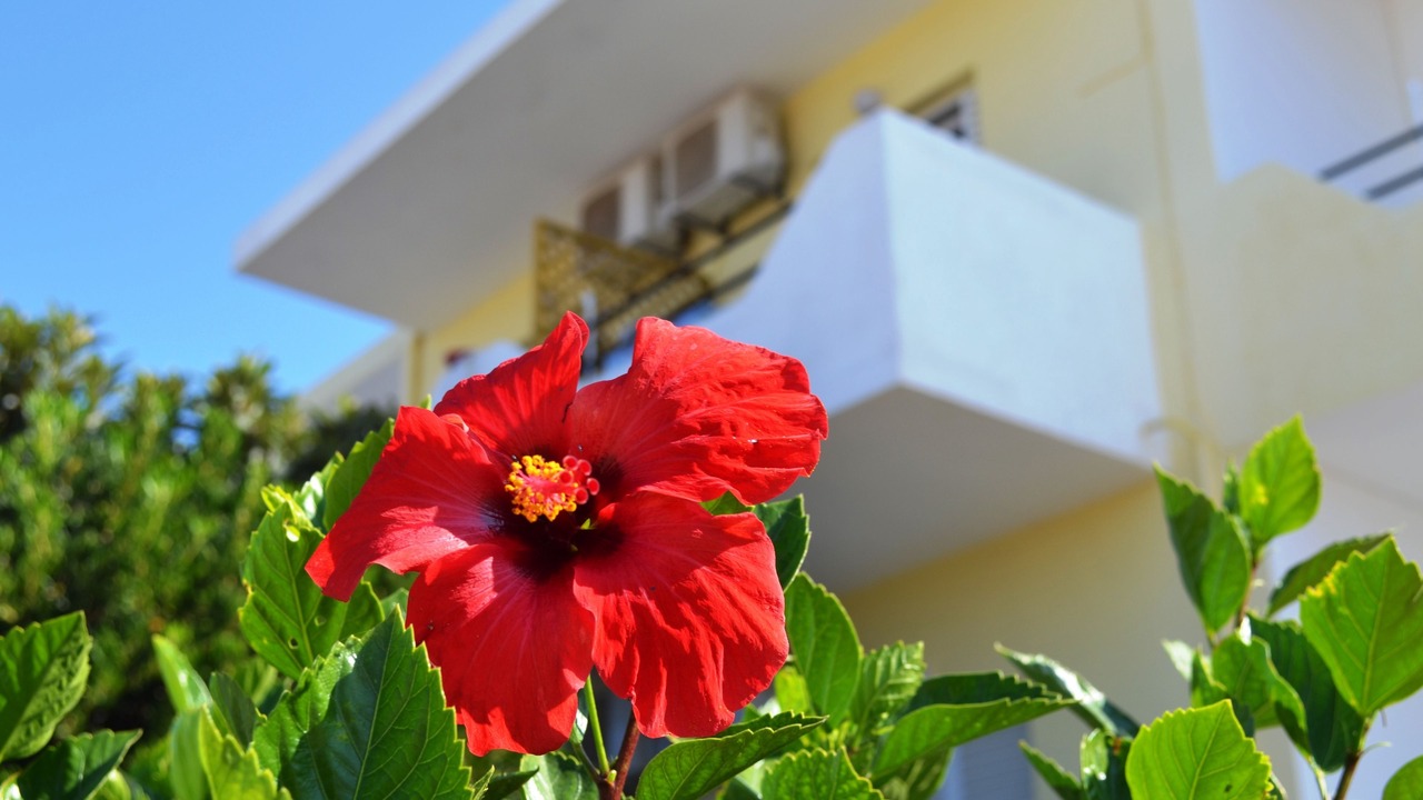 Photo of Outdoor in Mastichari