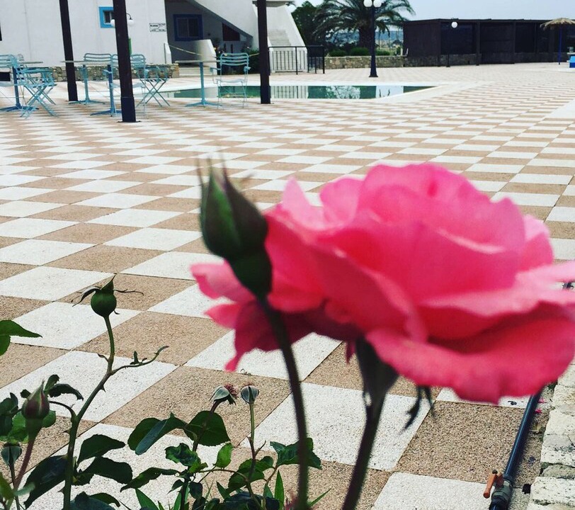 Photo of Outdoor in Kardamena