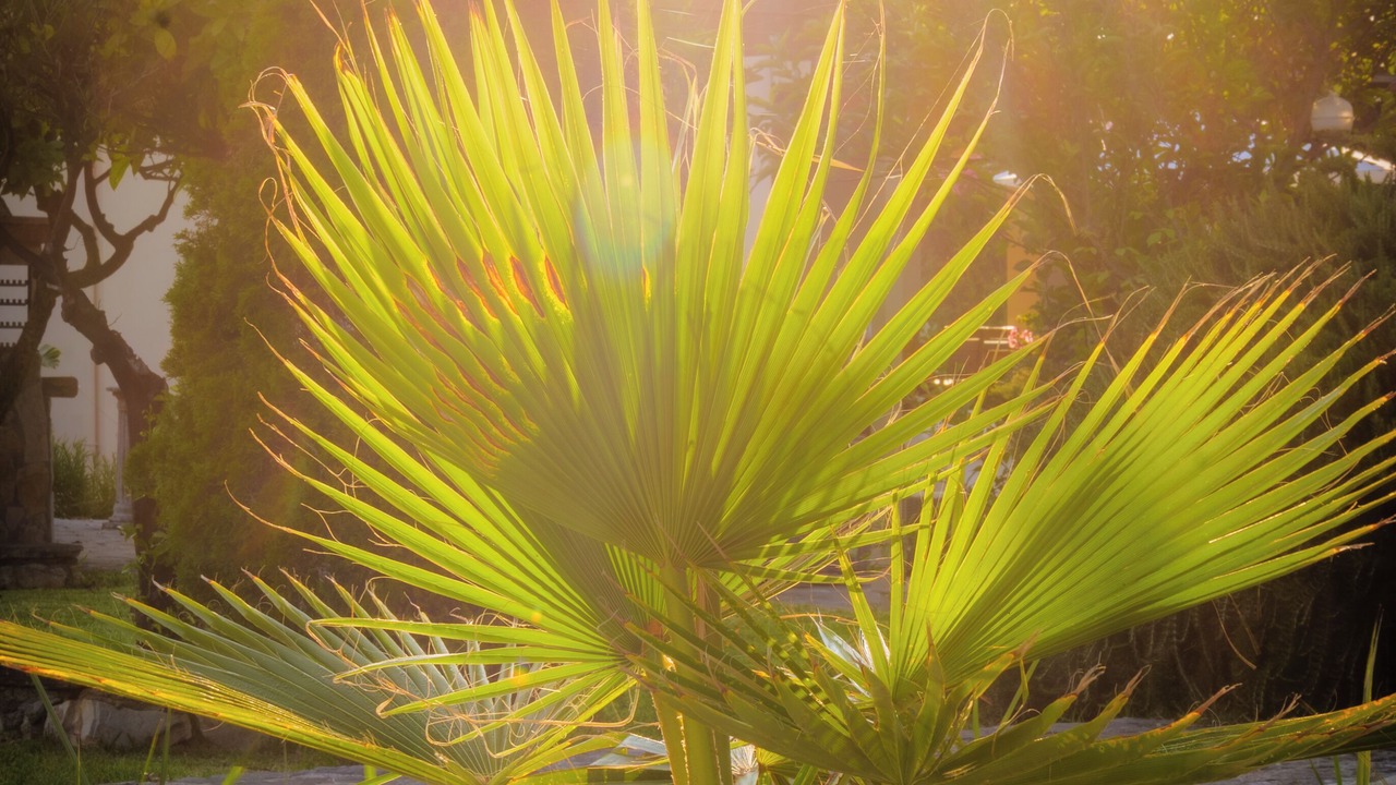 Photo of Outdoor in Skala