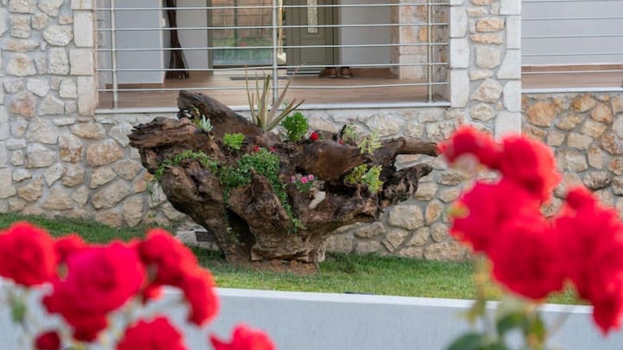 Photo of Outdoor in Sarlata