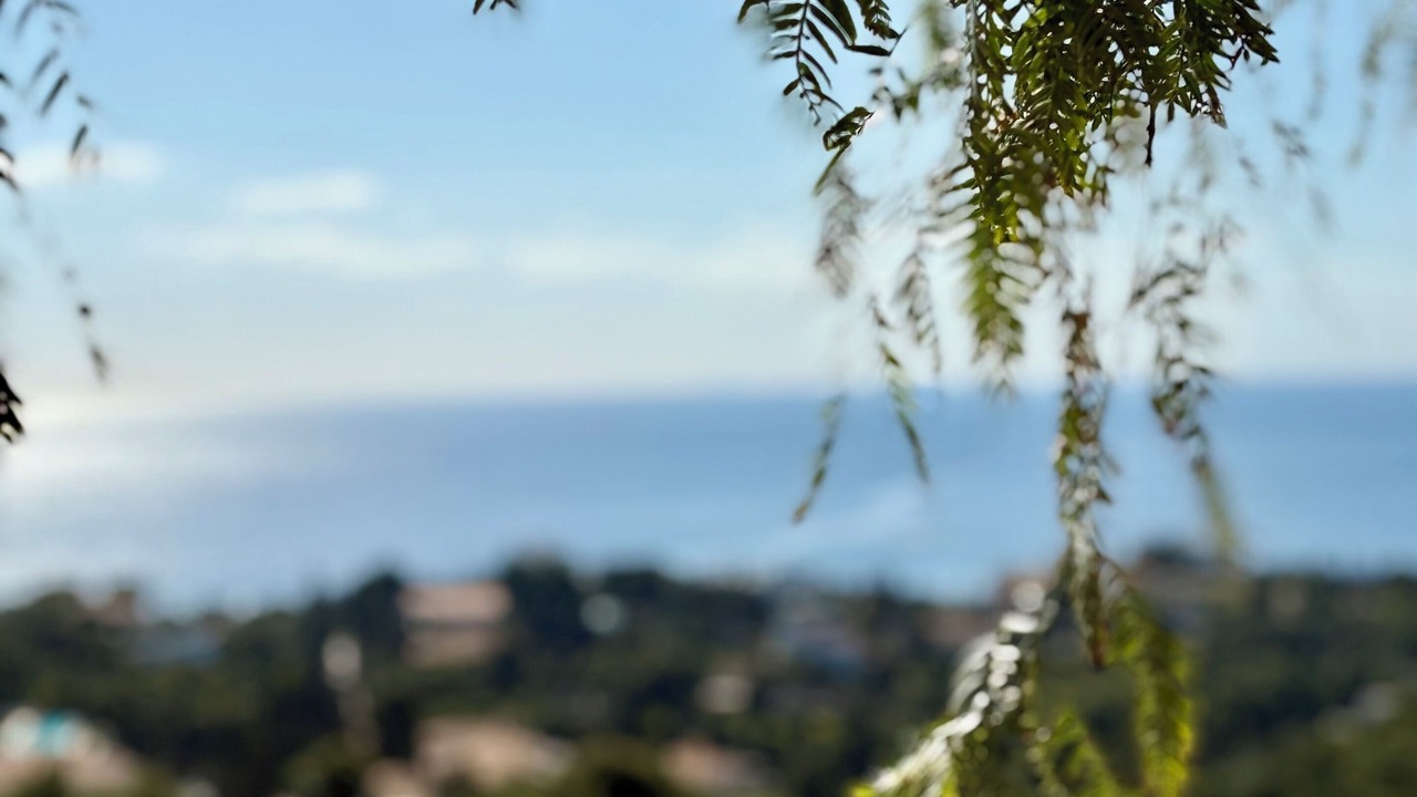 Photo of Others in Agios Emilianos