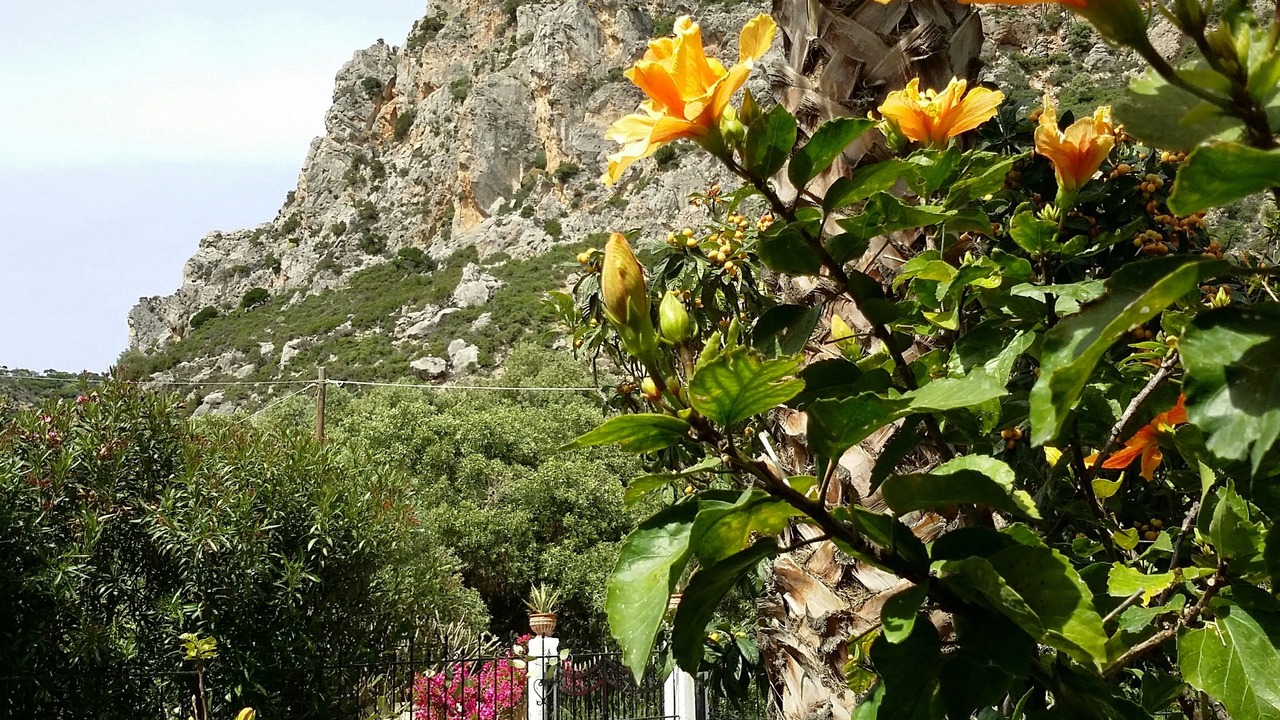 Photo of Others in Kantanos-Selino