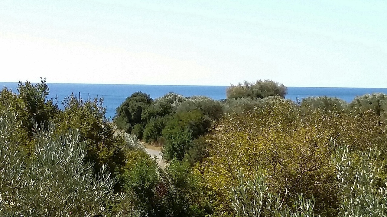 Photo of Others in Kantanos-Selino