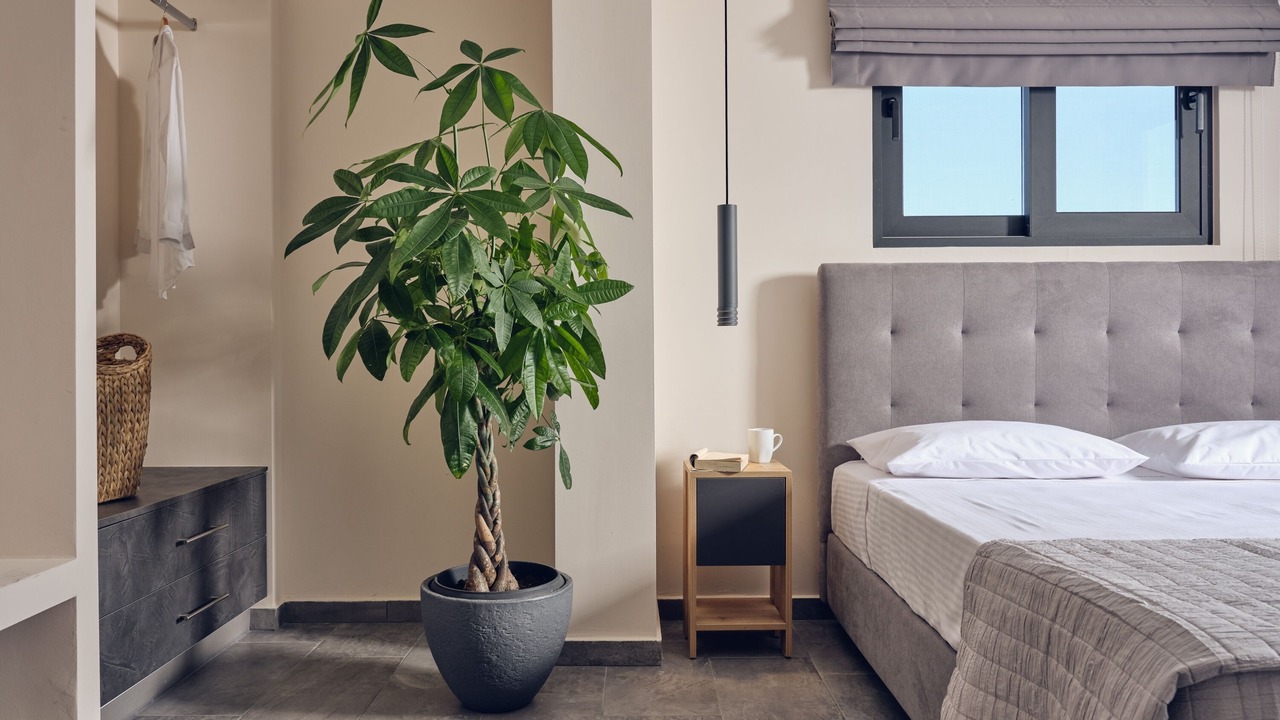 Photo of Bedroom in Ayios Kirikos