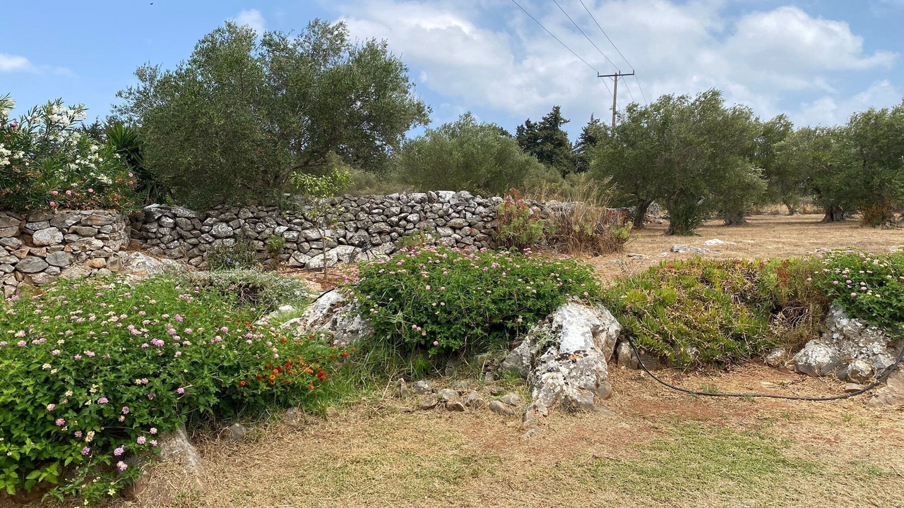Photo of Outdoor in Apokoronas