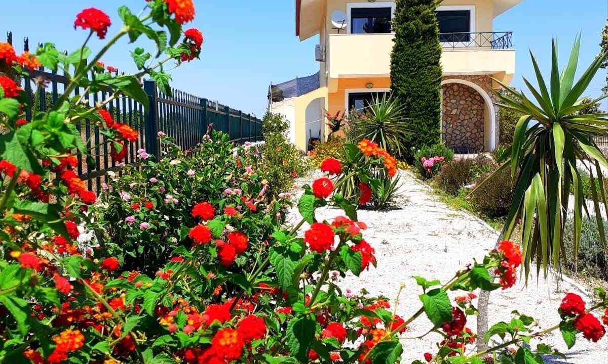 Photo of Outdoor in Lahania