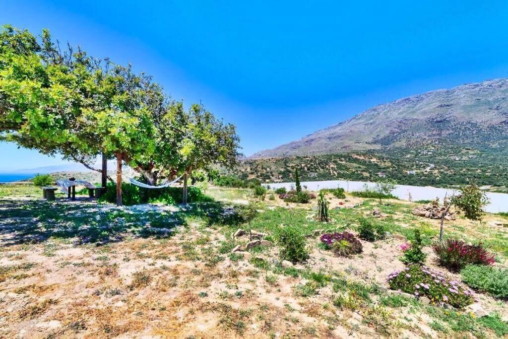 Photo of Outdoor in Vizari