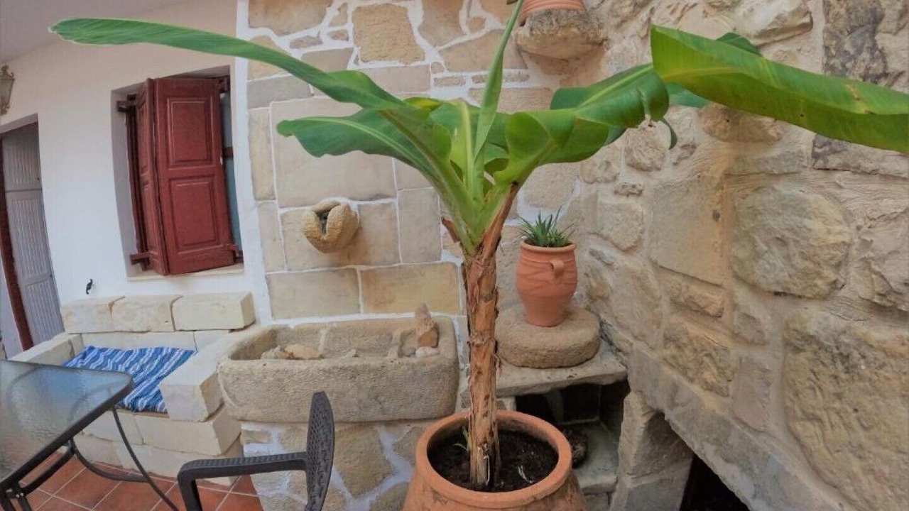 Photo of Outdoor in Argyroupoli