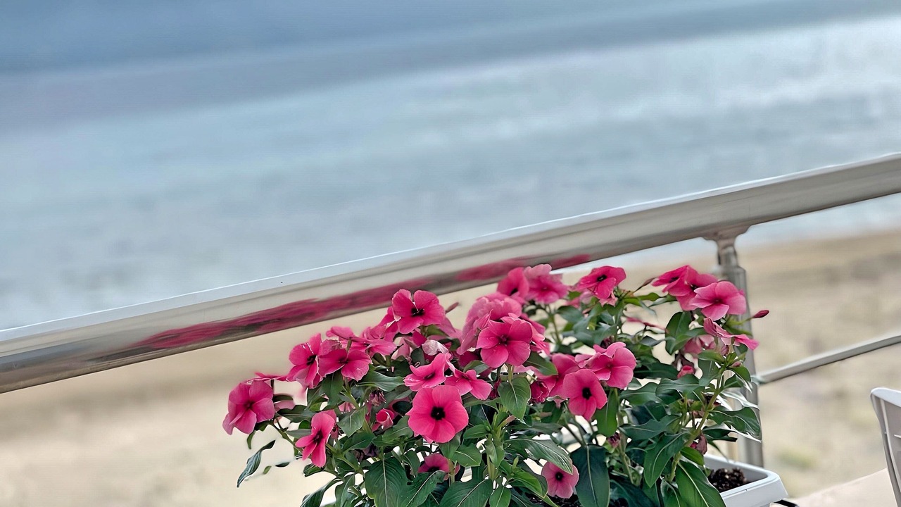 Photo of Others in Vlore