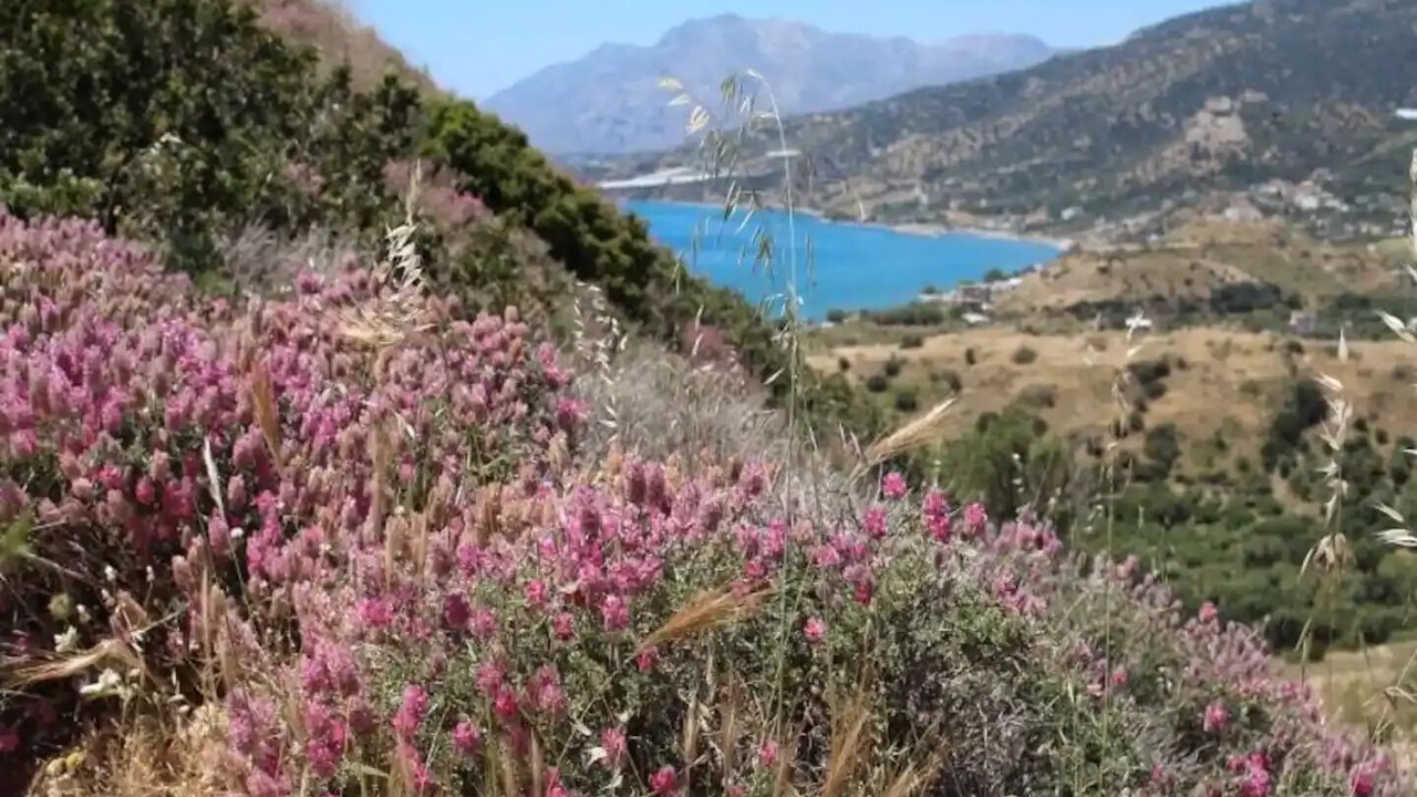 Photo of Others in Kithira
