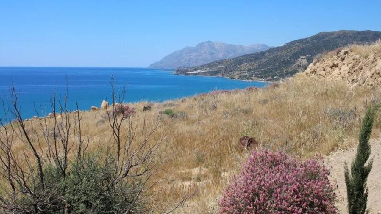Photo of Others in Kithira