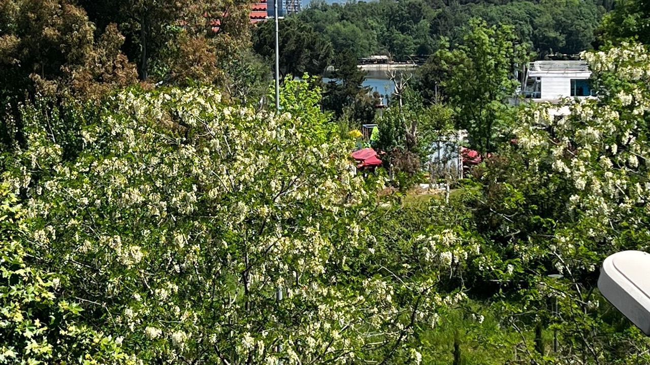 Photo of Outdoor in Farke