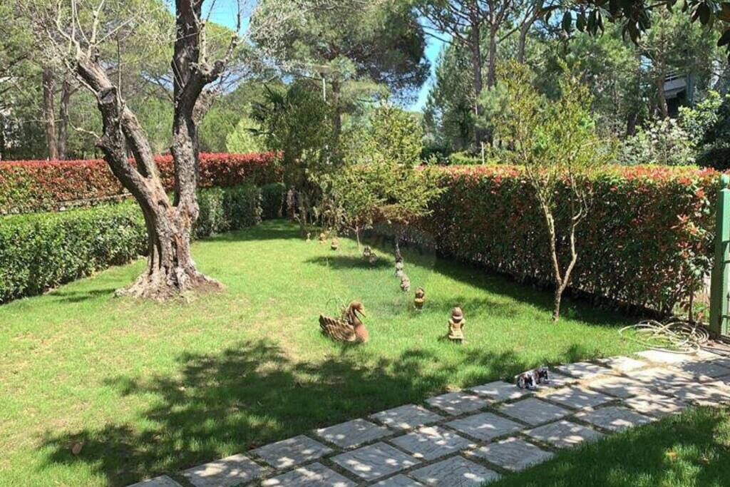 Photo of Outdoor in Ishem
