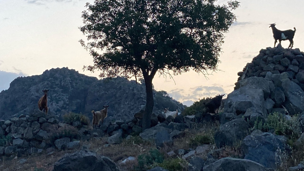 Photo of Outdoor in Nisyros