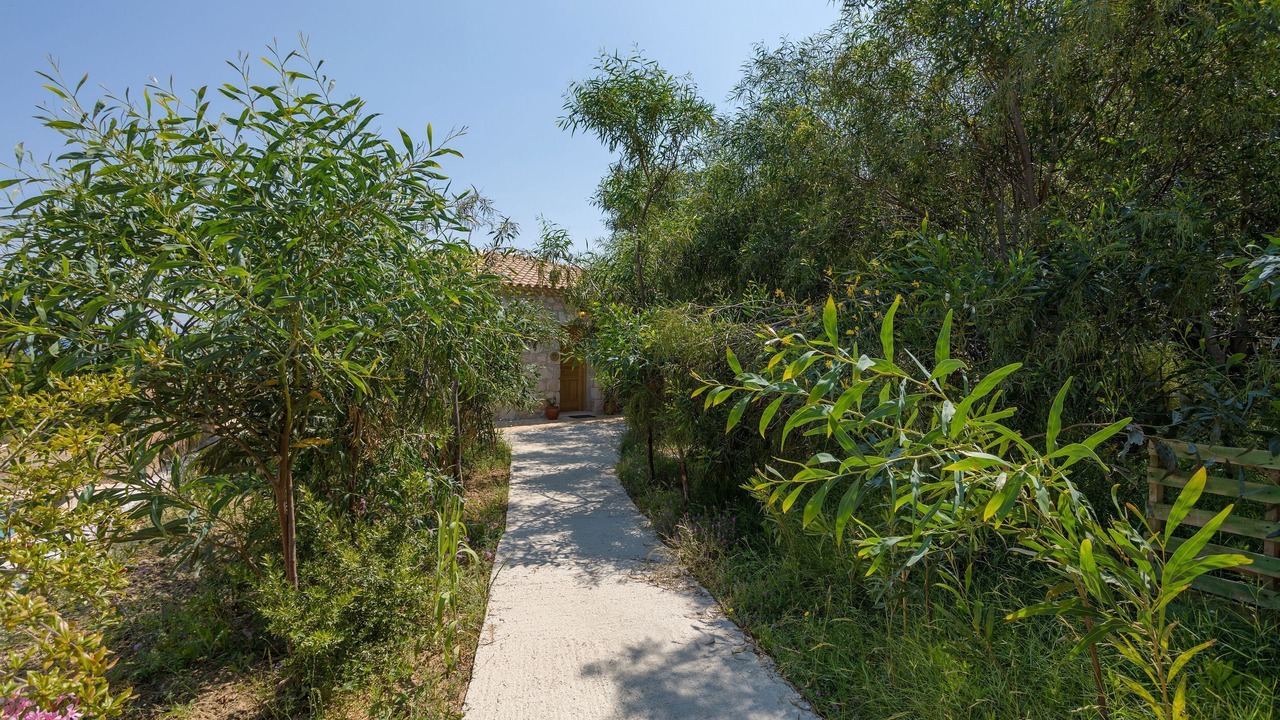 Photo of Outdoor in Vasilikos