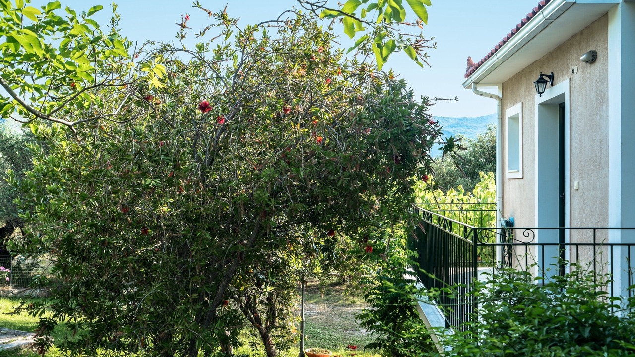 Photo of Outdoor in Kateleios