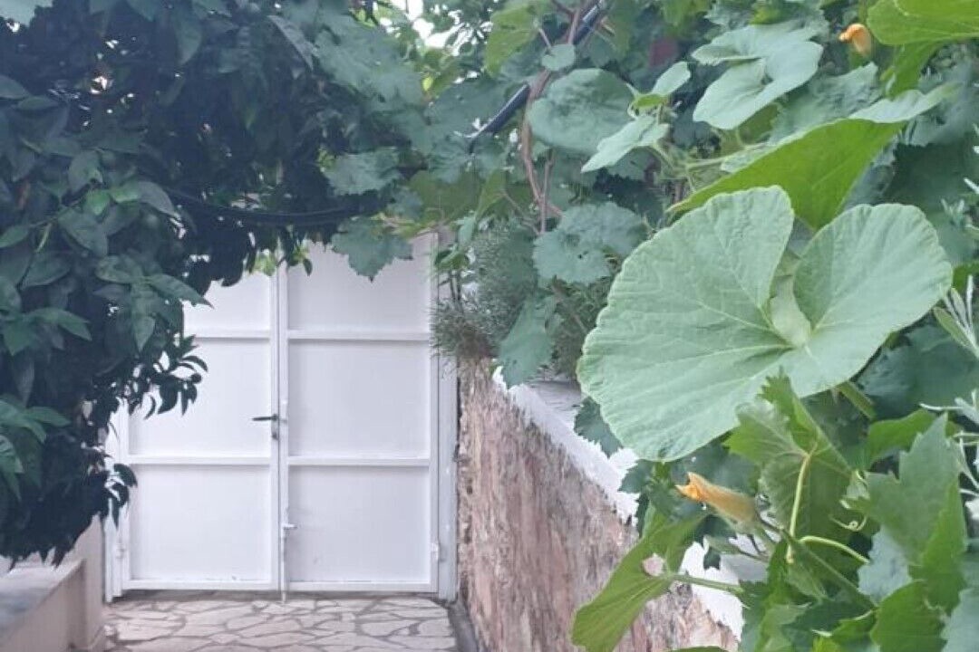Photo of Outdoor in Lukove