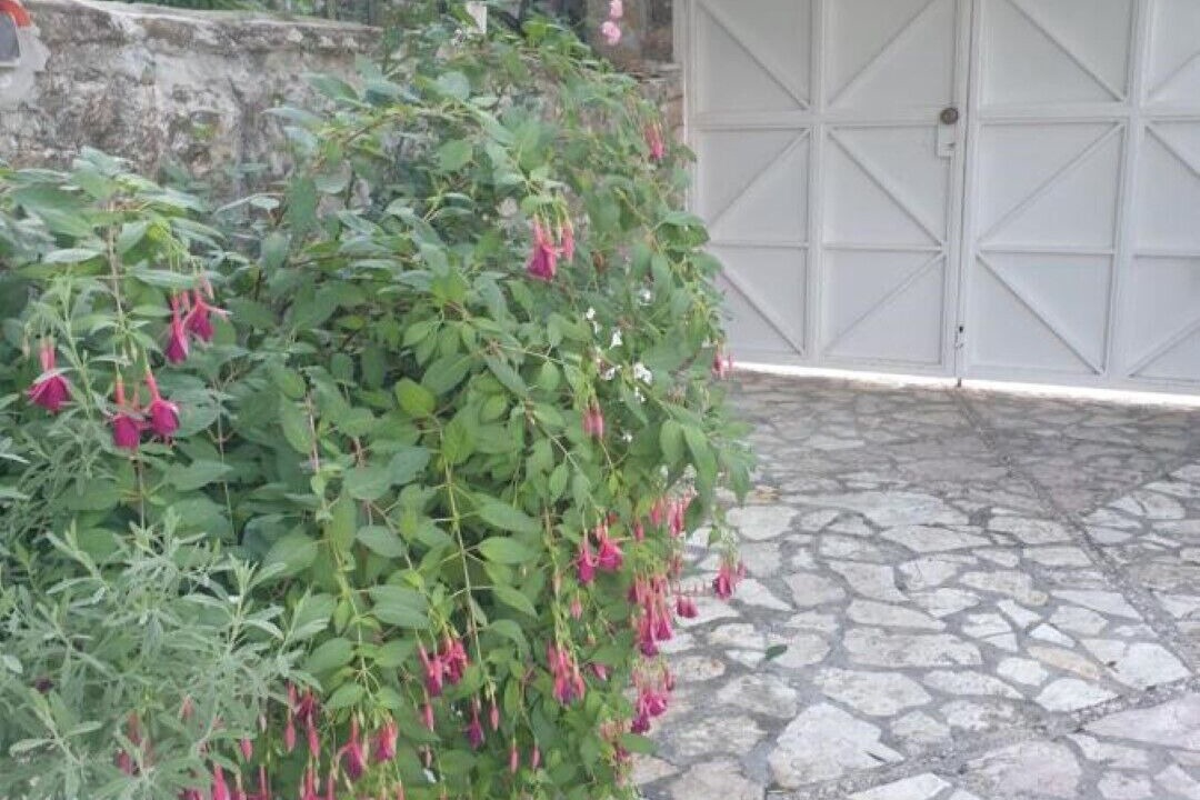 Photo of Outdoor in Lukove