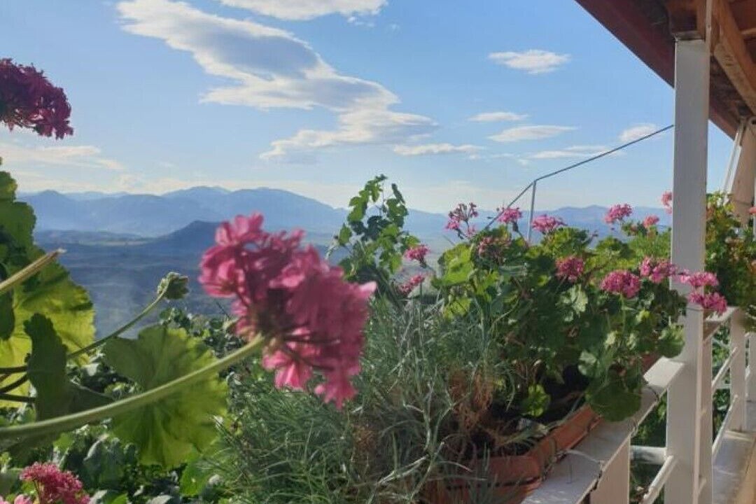 Photo of Outdoor in Lukove