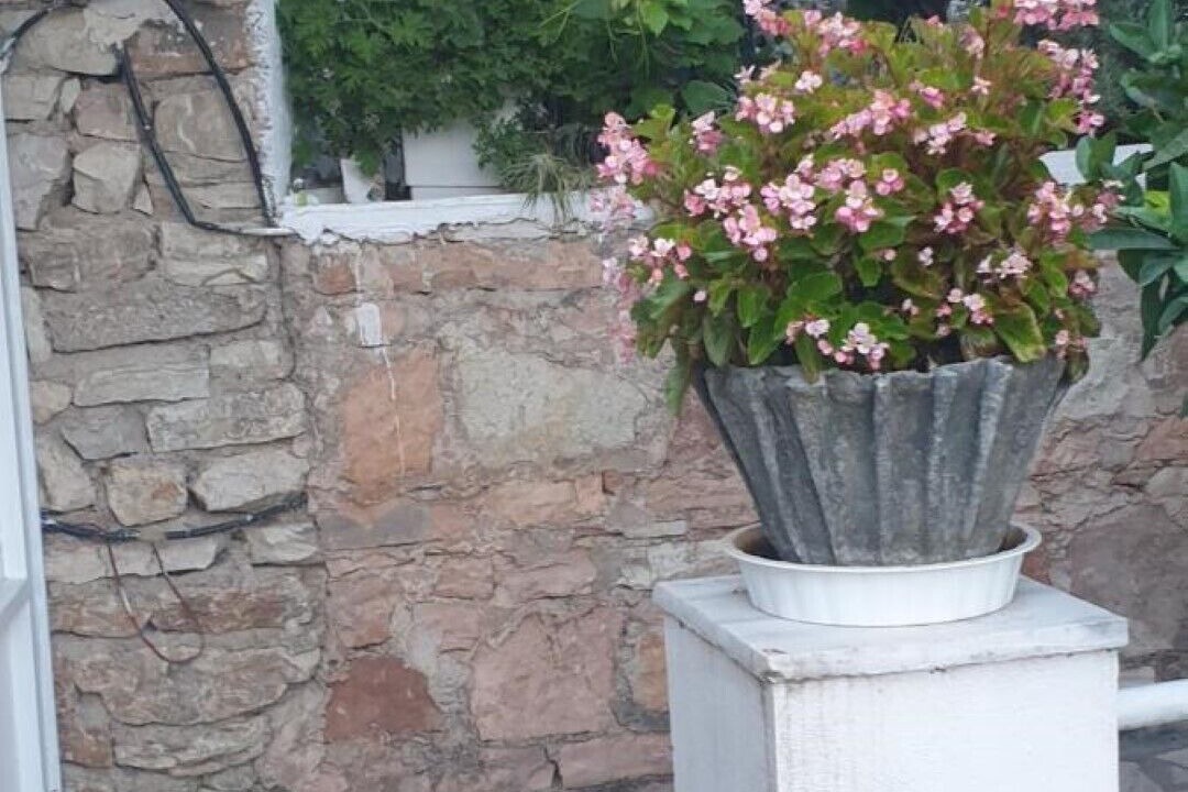 Photo of Outdoor in Lukove