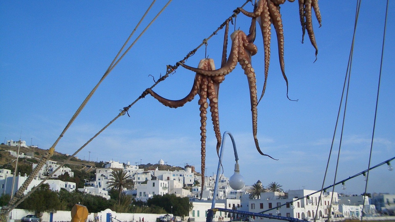 Photo of Others in Psarou