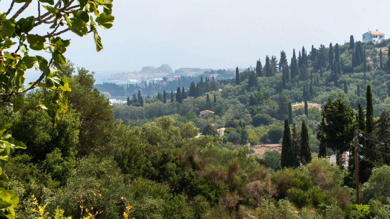 Photo of Others in Corfu Town