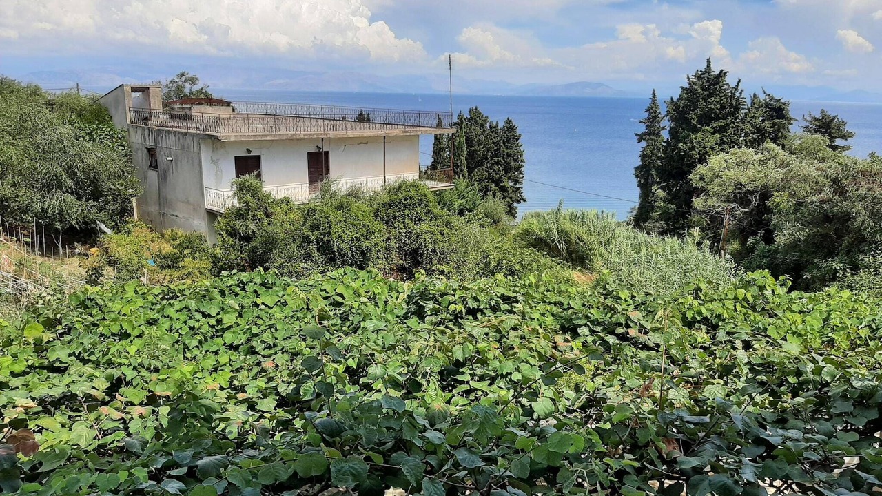 Photo of Others in Dafnata
