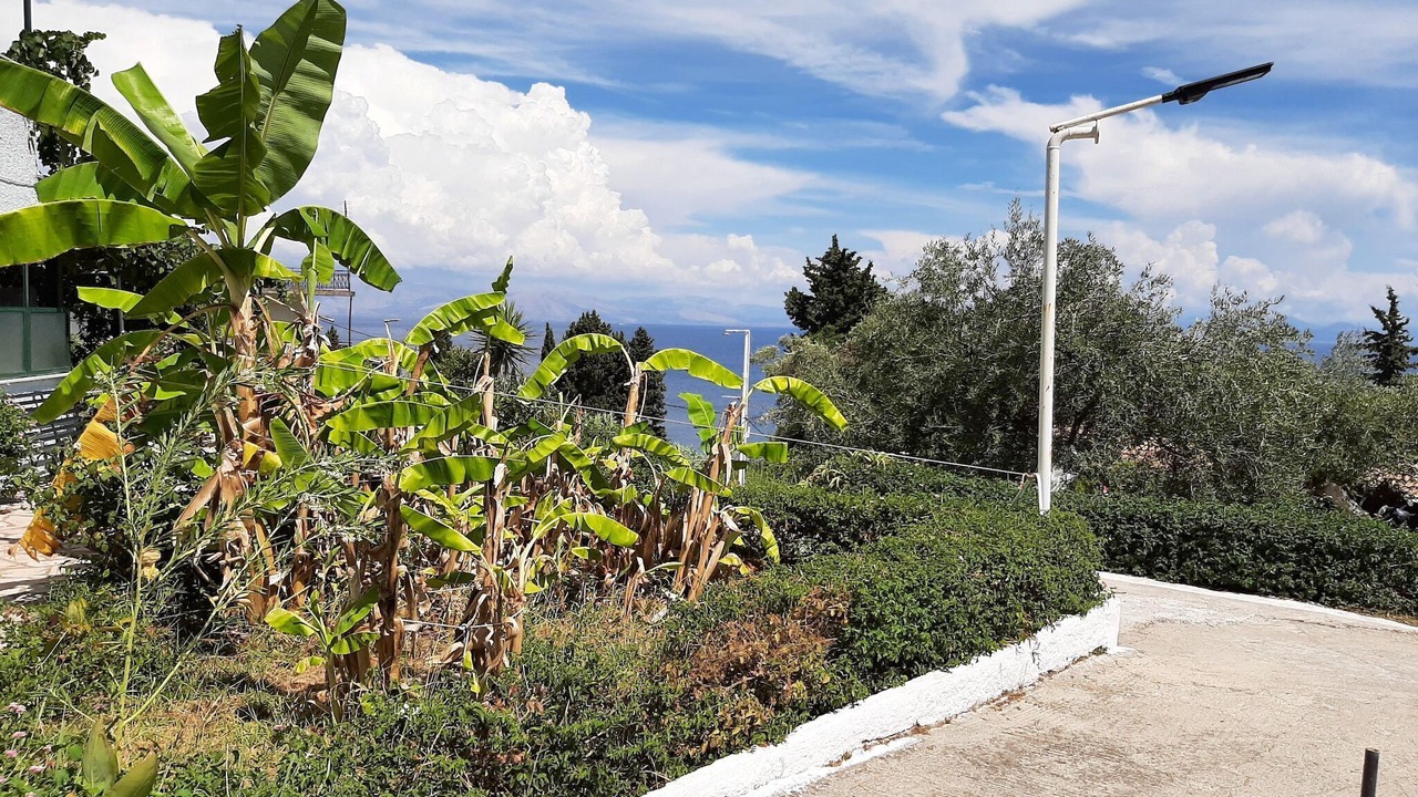 Photo of Others in Dafnata
