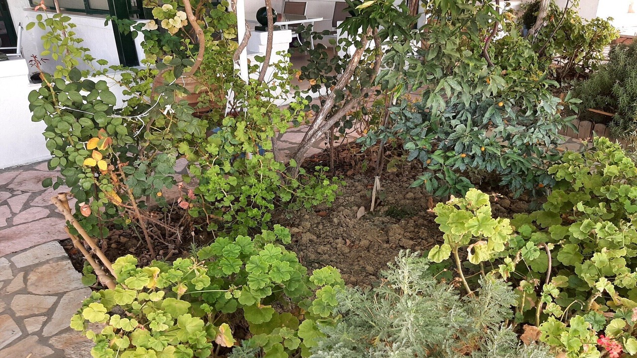 Photo of Outdoor in Dafnata