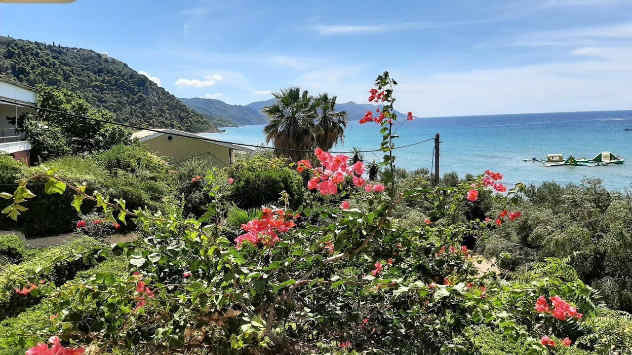 Photo of Others in Dafnata