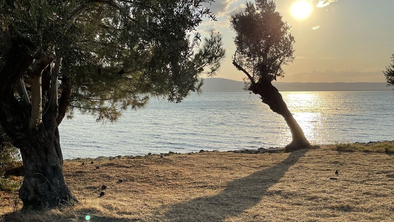 Photo of Others in Alyfanta
