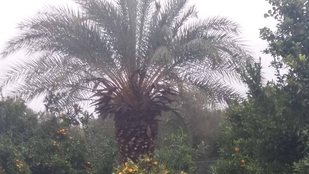 Photo of Outdoor in Mires