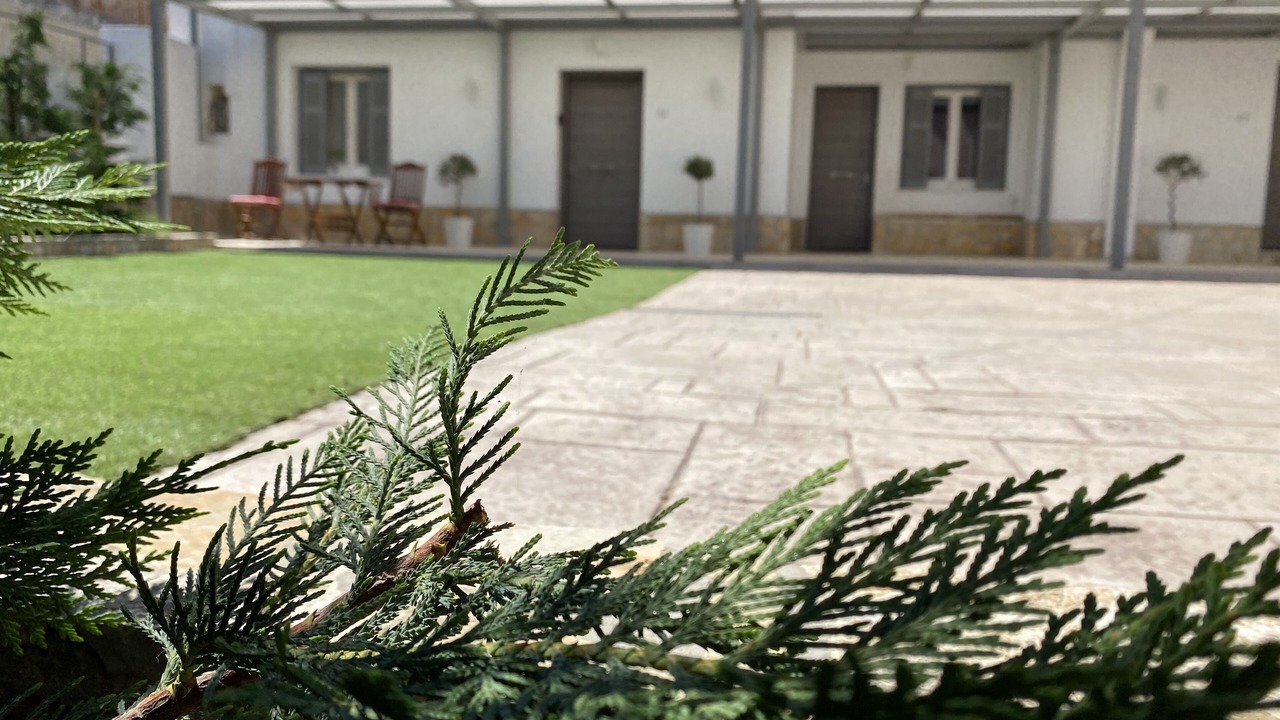 Photo of Outdoor in Spata-Artemida