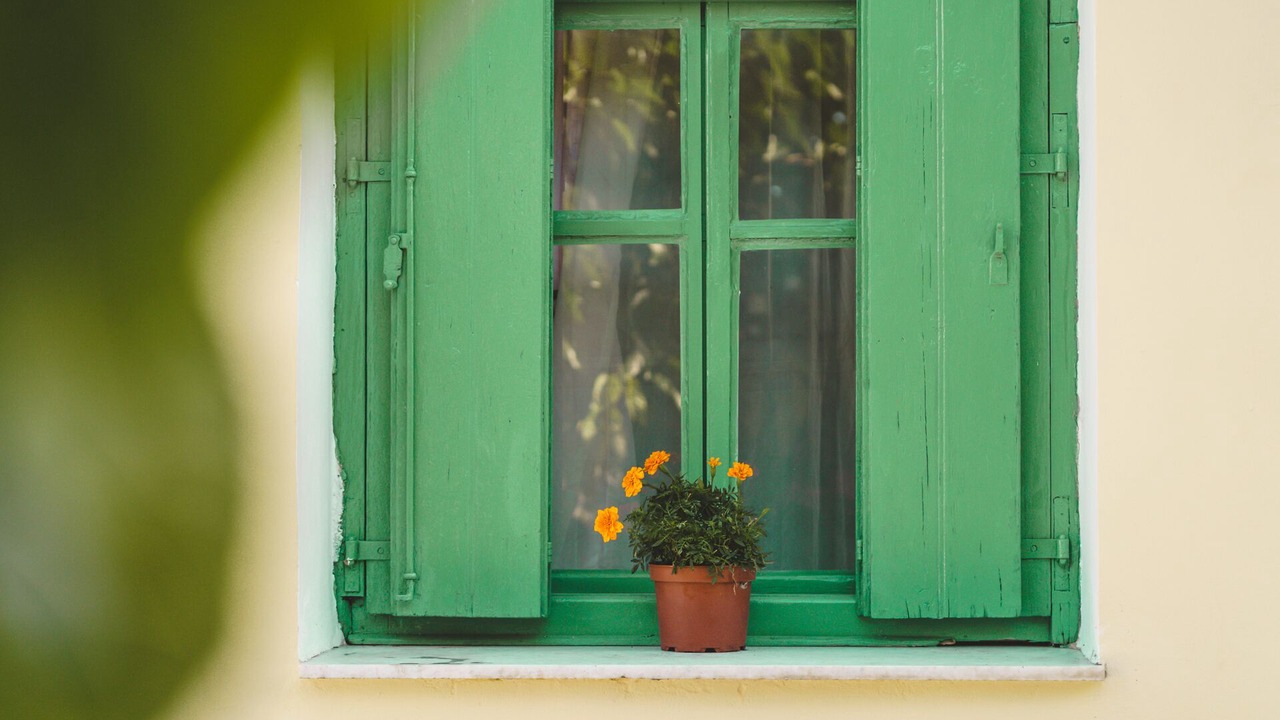 Photo of Outdoor in Vatolakkos