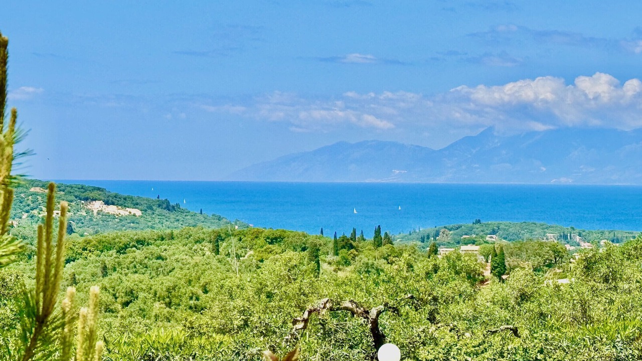 Photo of Others in Petaleia