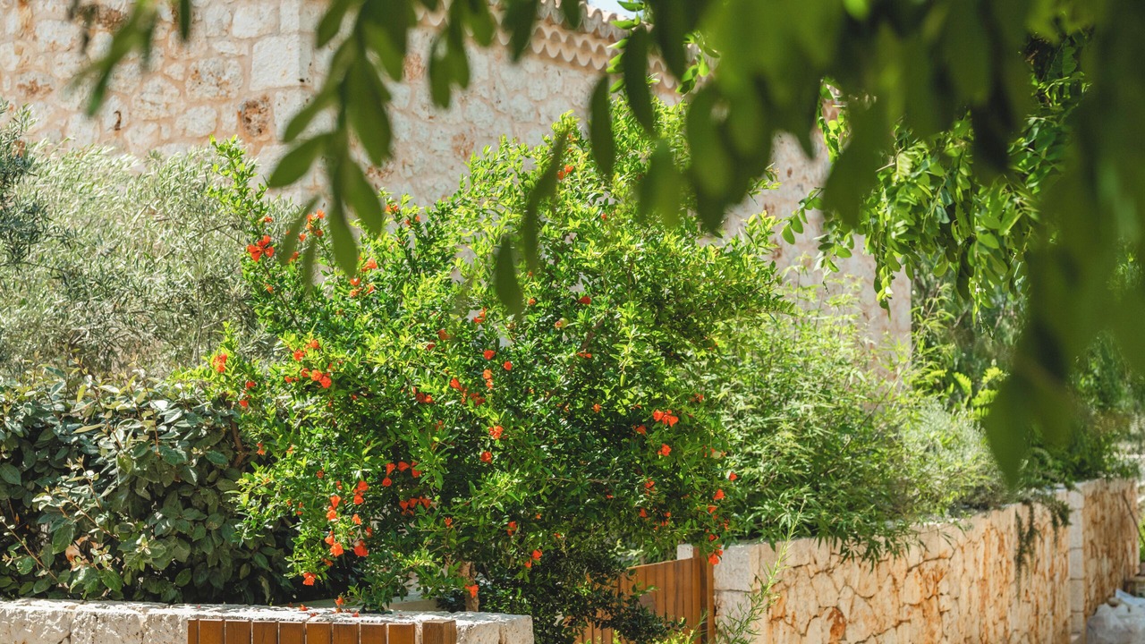 Photo of Outdoor in Lefkada