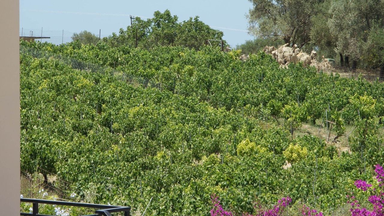 Photo of Others in Rethymno
