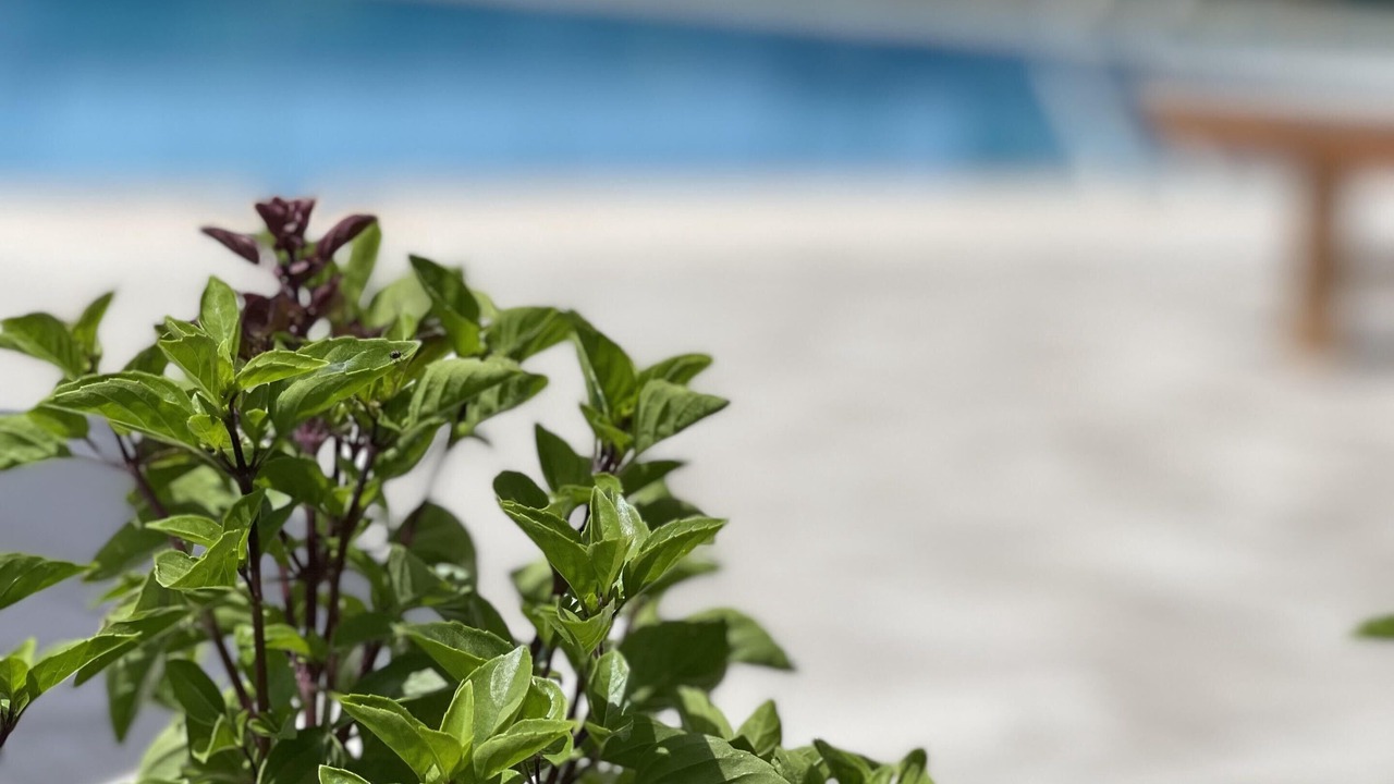 Photo of Outdoor in Agrilos
