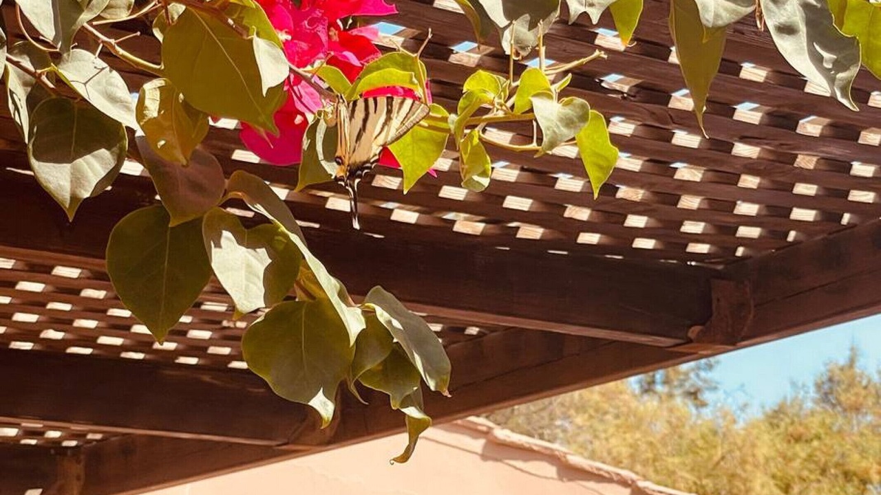 Photo of Outdoor in Platanias Town