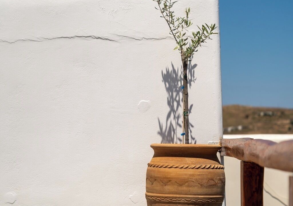 Photo of Outdoor in Ramos