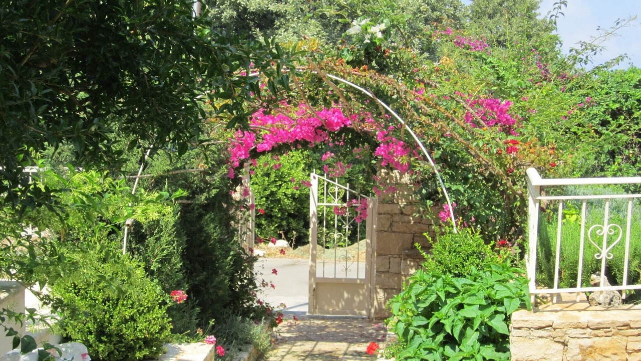 Photo of Outdoor in Atsipópoulon