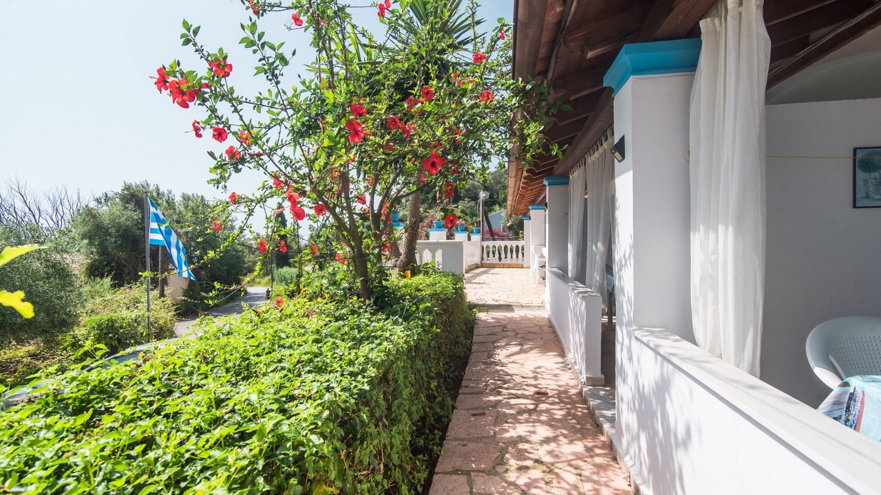 Photo of Outdoor in Dafnata