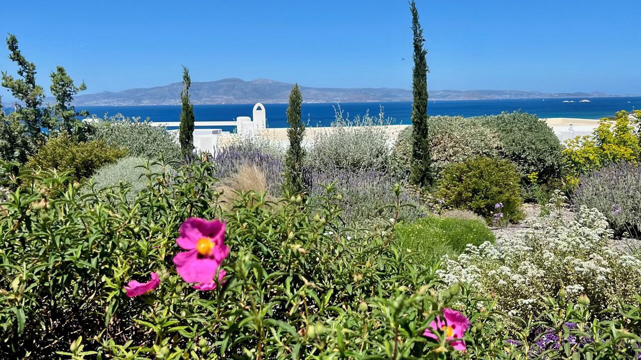 Photo of Others in Naxos